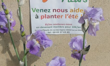 Luc-en-Diois : Luc en Fleurs