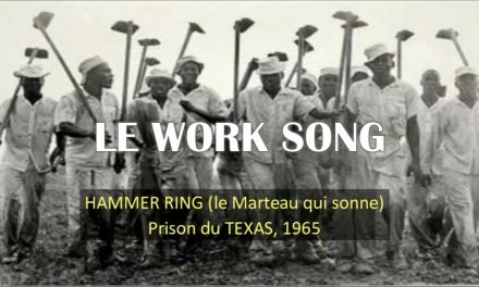 A LA RECHERCHE DU GROOVE PERDU (418) Une histoire des work songs afro-américaines